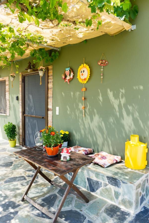 Valena'S House Apartment Янина Екстериор снимка