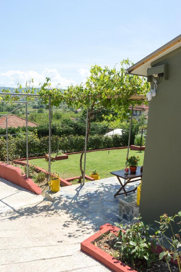 Valena'S House Apartment Янина Екстериор снимка